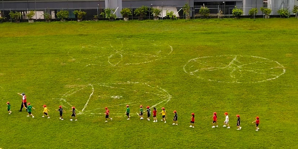 elc Crop Circles