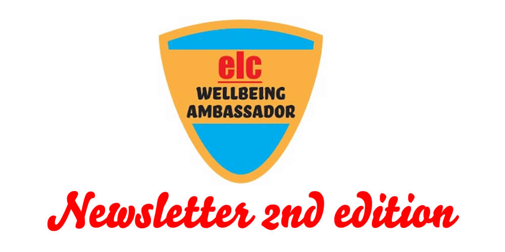 Wellbeing Newsletter 2nd