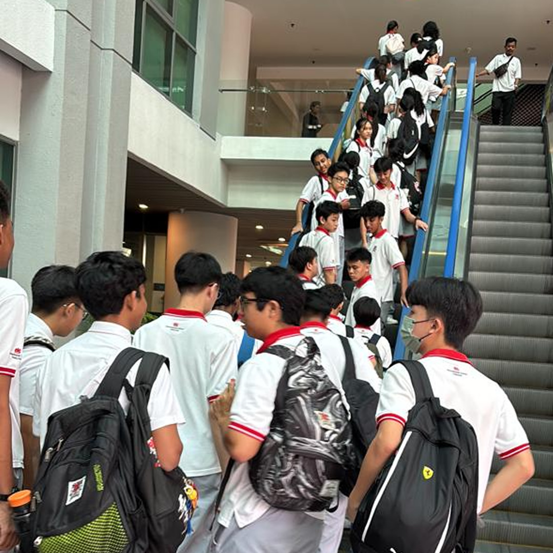 y11-sunway-05